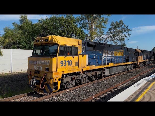 Scone: Pacific National locos 9310, 9311, & DPU 9306 southbound on 8/2/25 @8.57am.