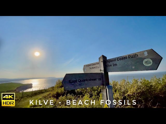 Kilve beach fossils | cinematic video | 4K HDR10 Dolby Vision | UK 🇬🇧