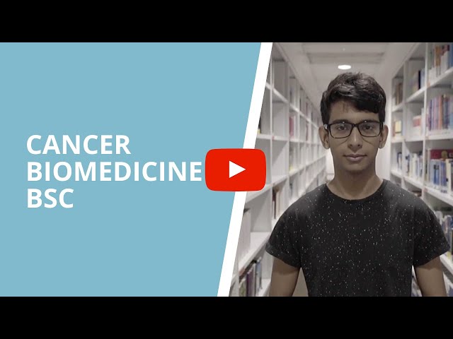 Cancer Biomedicine BSc | UCL Undergraduate Degree