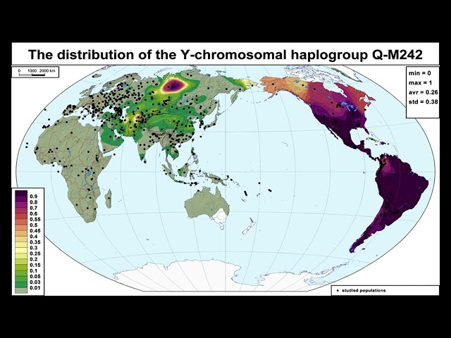 #ENG - HUMANS - RECENT ORIGIN - RECESSIVE GENES - CHALENGES - #V 042