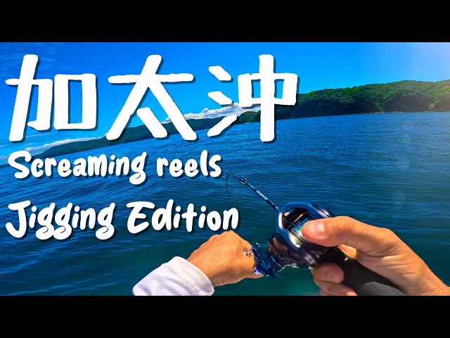 Real jigging in Osaka Bay: Non-Stop Hits with Big Mackerel and Yellowtail!