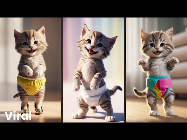 Funny Cat Viral Dancing Videos 4K 😻💃🏻#viralvideos #Catlovers #dancingcat #funnycat #cat #shorts