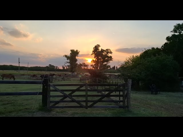 VIDEO 360° ATARDECER EN EL CAMPO (Mirar con Oculus o simil)