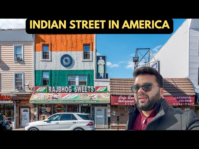 Mini INDIA in USA | पूरा बाजार देसी दुकानों से भरा हुआ था।