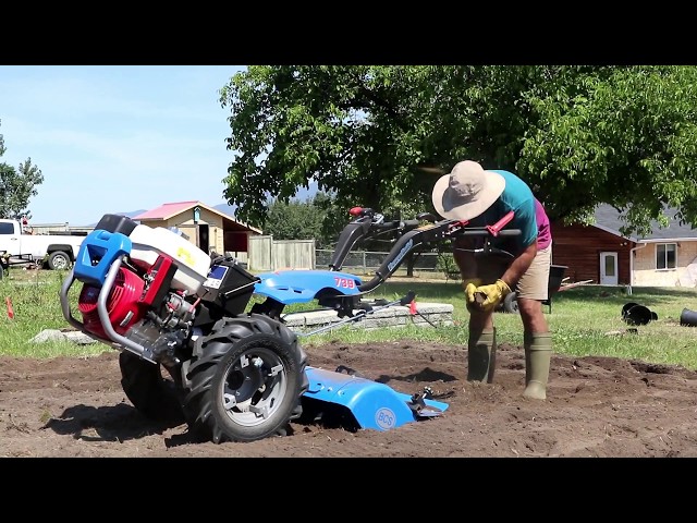 ALL GRASS MUST DIE | and planting leeks