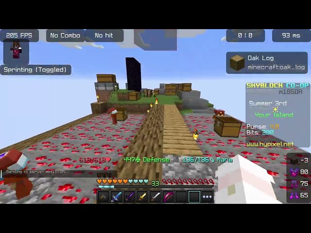 skyblock hypixel in a nutshell