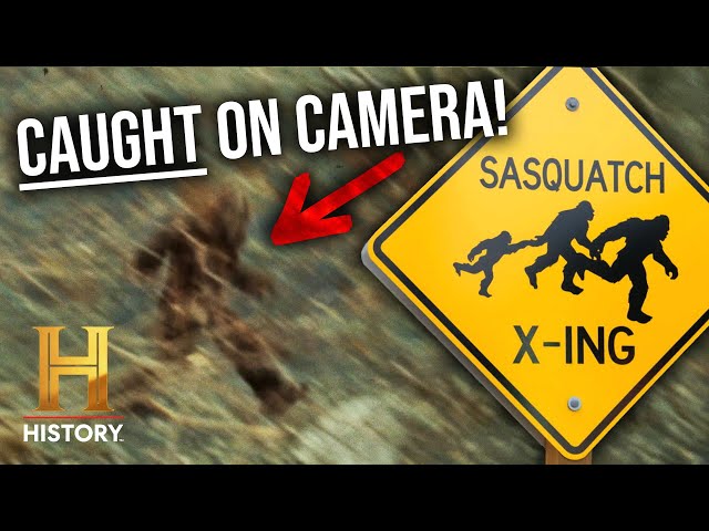 Top 10 Bigfoot Sightings Caught On Camera | The Proof Is Out There