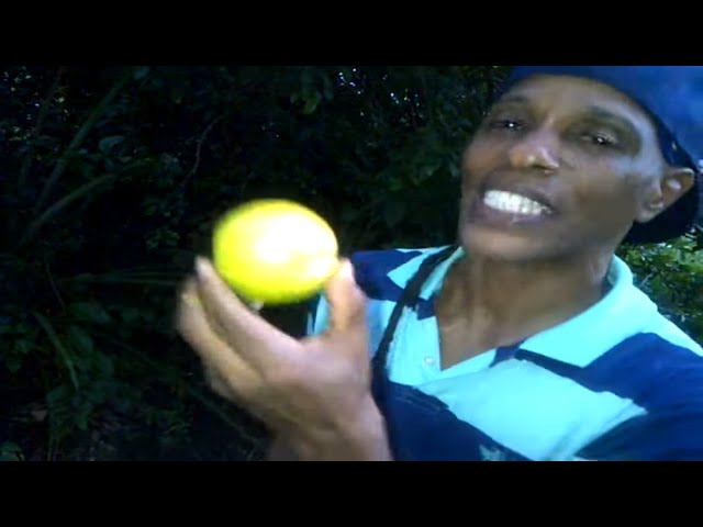 The benefits of lime - Grenada's Master Herbalist Patrick Delves