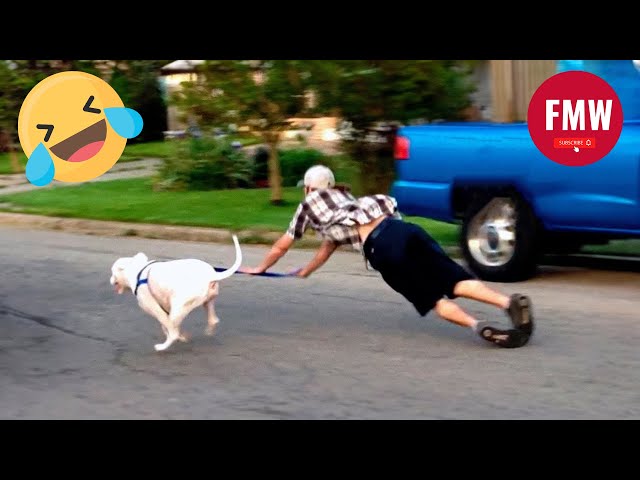 Funny & Hilarious People's Life 😂 #48 - Try not to Laugh | Funny Fails compilation 2024