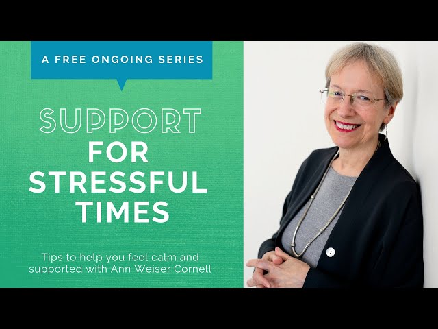 Support for Stressful Times Apr 20 2021