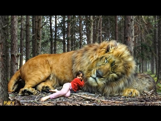 A Girl Becomes the mother of a Wolf and a Lion | Movie Explained in Hindi