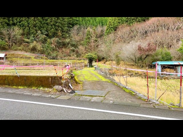 Japanese Countryside walk: Walking Around Fallow Field in Winter, Ariki, Minamata City, Japan