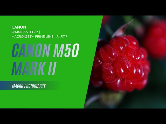 Canon EF-M 28mm f/3.5 Macro IS STM Lens | Canon M50 Mark II | Part1