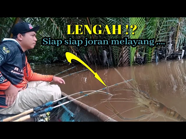 GAK NYANGKA ‼️SUNGAI KECIL INI DIPENUHI UDANG GALAH BERTENAGA SUPER