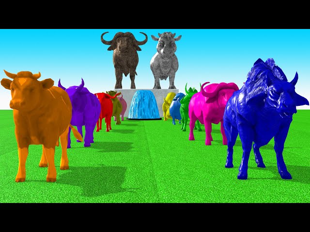 Paint Animals Cow Cartoon,Buffalo,Bull,yak,Ox, Bison Fountain Crossing Animal Transformation Game