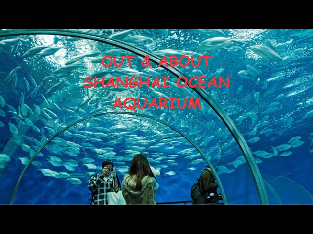 SHANGHAI OCEAN AQUARIUM