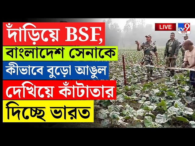 BIG BREAKING | BANGLADESH | বাক যুদ্ধ বিএসএফ ও বিজিবি-এর মধ্যে | INDIA BANGLADESH| BGB | BSF | #TV9D