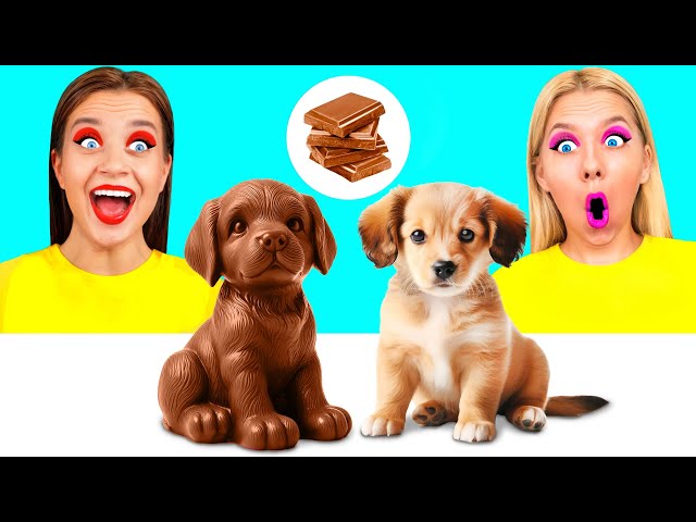 Real Food vs Chocolate Food Challenge | Awesome Kitchen Hacks by BooBoom Challenge