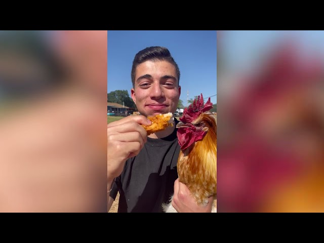 Eat A Chicken In Front Of A Chicken 🐔