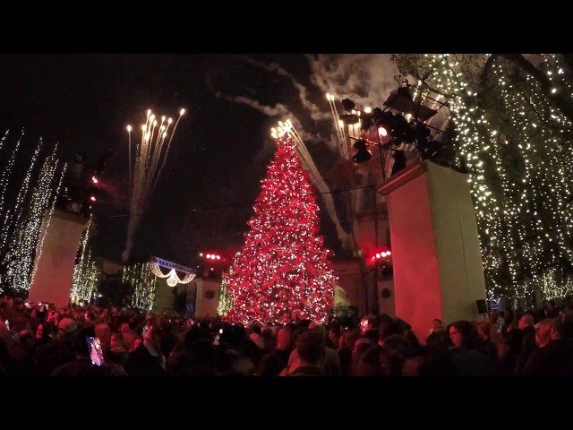 2019 Paramount Studios Christmas Tree Lighting