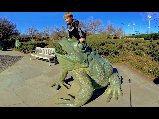 Giant Toad in 3D VR