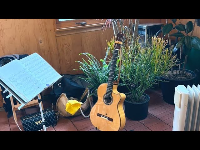 Playing the guitar at Garden Cafe Chise