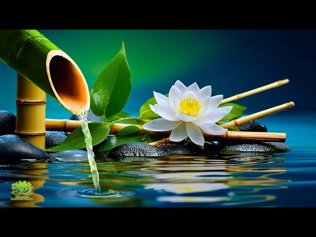 Relaxing Music for Sleep, Stress Relief Music, Sleep Music, Meditation Music, Nature Sounds, Calming