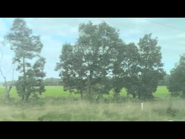 SOUTHERN CROSS to WARRNAMBOOL V/Line Diesel Train Trip Pt 6 of 10