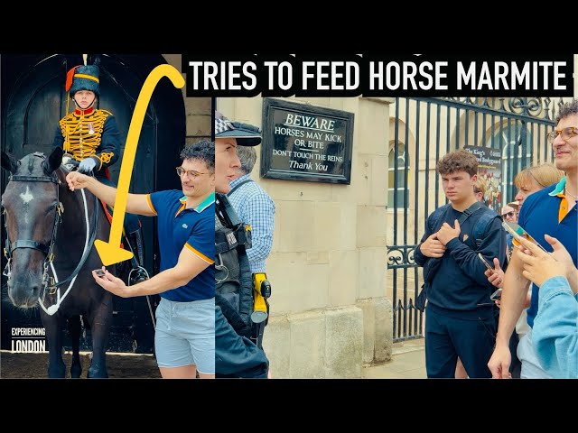 MAN TRIES TO FEED HORSE MARMITE, THEN THIS HAPPENS! | Horse Guards, Royal guard, Kings Guard, Horse