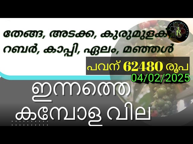 പവന് 62480രൂപ സ്വർണത്തിന് ഇനി കുറയാൻ സാധ്യതയുണ്ടോ | Kerala Rubber Pepper Price Today