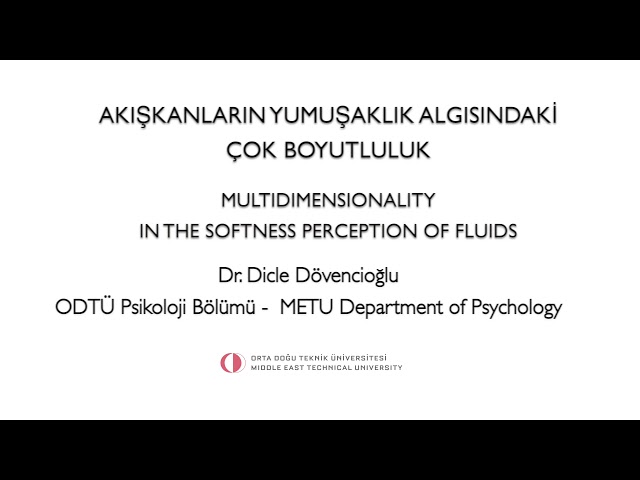 Dr. Öğr. Üyesi Dicle Dövencioğlu -  “Akışkanların yumuşaklık algısındaki çok boyutluluk” projesi