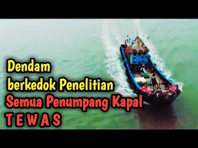 Seluruh Penumpang Kapal Tewas, Gara-Gara Penelitian Dokter|| Alur film @PojokHumor