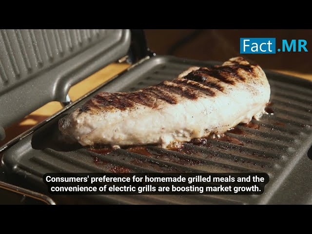 Electric Grill Market 2034 | In-Depth Market Analysis, Trends & Growth Forecast