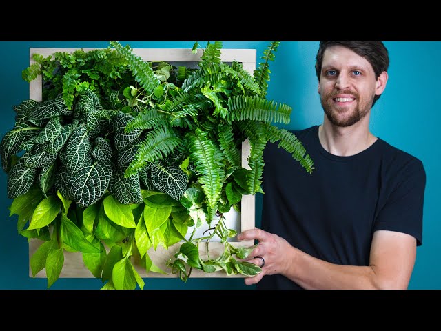 Easy Self-Watering Green Wall (DIY Vertical Garden)