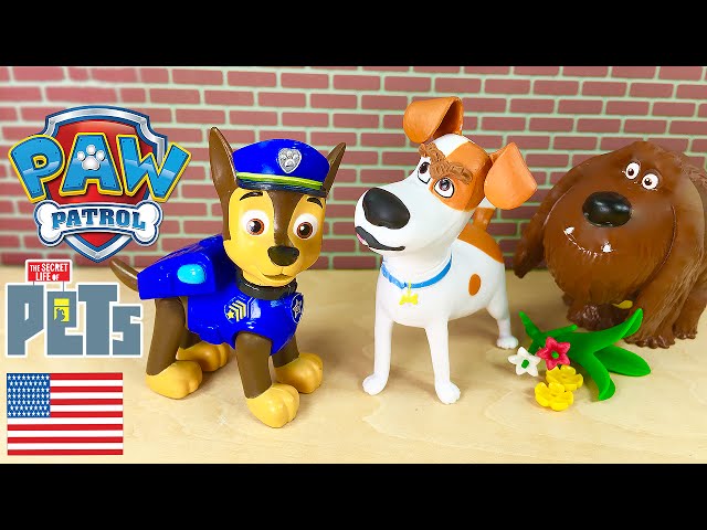 The Mysterious Noise Paw Patrol and Secret Life of Pets Episode in English