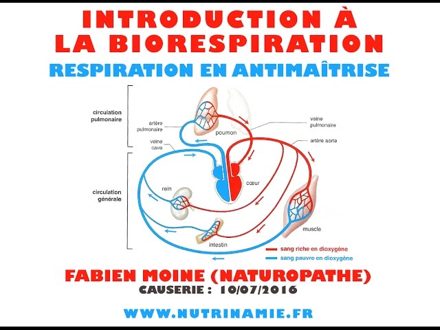 La biorespiration ou respiration en antimaîtrise (Fabien Moine)