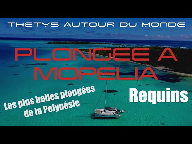 MOPELIA PLONGEE PASSE youtube