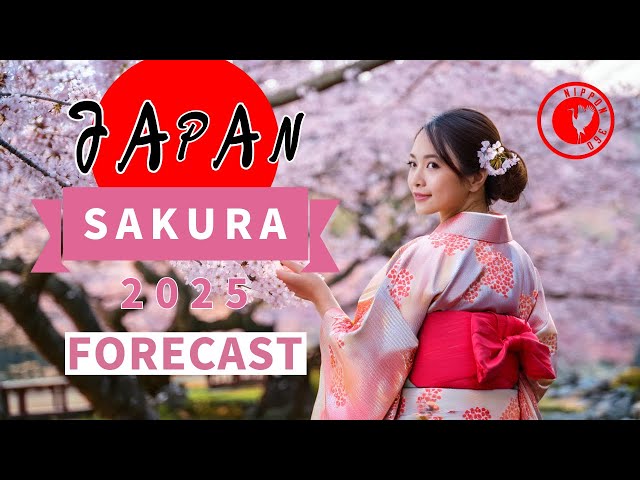 Japan's Sakura's forecast 2025