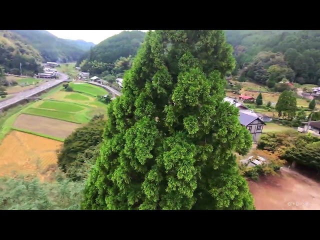 【DJI NEO】DJI NEOで飛ぶ旧柳生藩陣屋跡