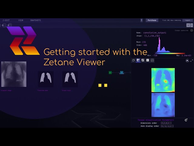 Getting started with the Zetane Viewer: tutorial and guide