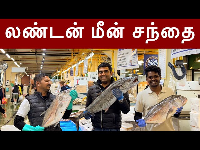 Biggest wholesale fish market in UK |லண்டன் மீன் சந்தை | Billingsgate| London | Tamil Vlog