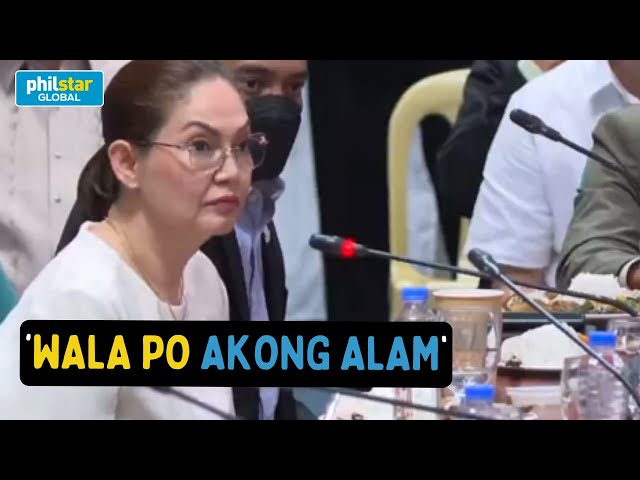 Maricel Soriano humarap sa Senate hearing tungkol sa umano'y "PDEA leaks"