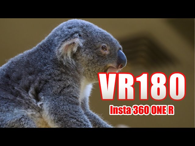 [VR180]東山動植物園 VR [Insta360 ONE R]