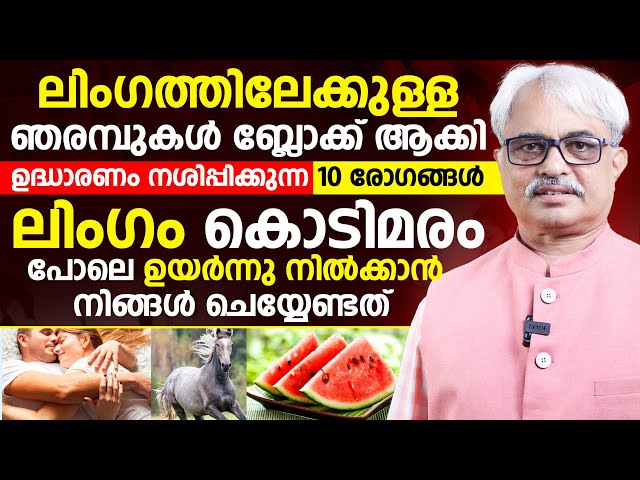 ലിംഗത്തിലേക്കുള്ള ഞരമ്പുകൾ ബ്ലോക്ക് ആക്കി ഉദ്ധാരണം നശിപ്പിക്കുന്ന 10 രോഗങ്ങൾ|laingika sheshi kurav