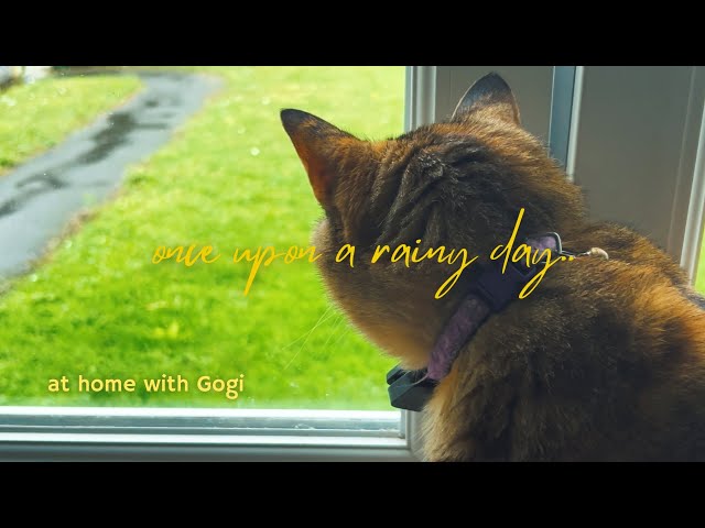 once upon a rainy day..  Autumn begins | Cozy carrot soup | Slow life vlog | living in France