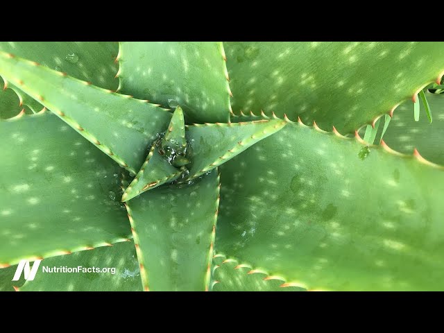 Is Aloe Vera Gel the Best Treatment for Lichen Planus?