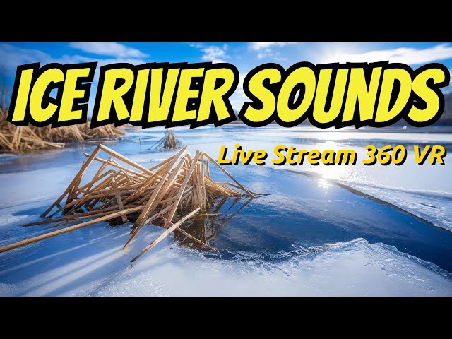 1,5 Hours of Relaxing Sounds of Nature - Live Stream 360 VR