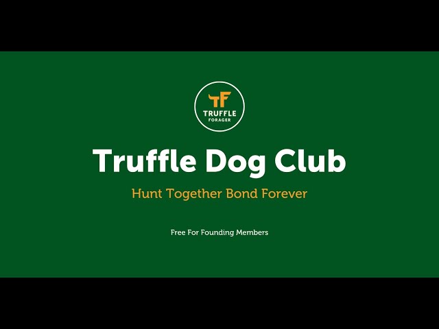 How To Hunt Truffles With Your Dog For FREE | Truffle Dog Club UK