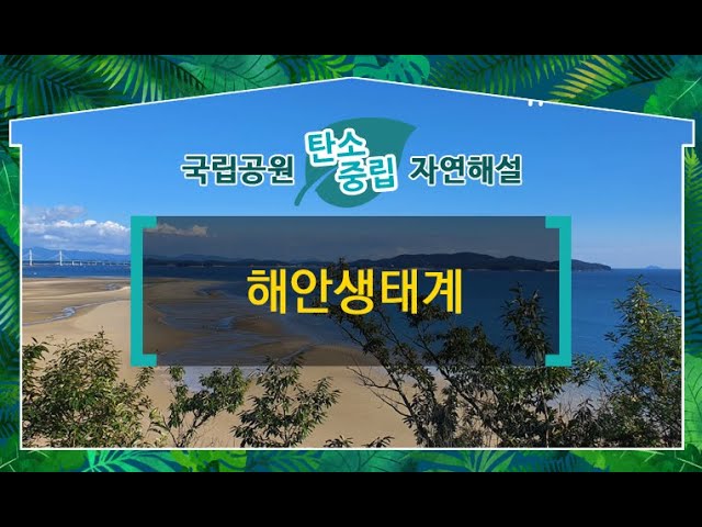 [태안해안국립공원] 해안생태계