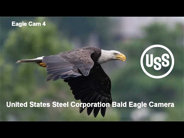 USS Bald Eagle Cam 4 - River view